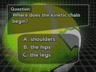 WHERE DOES KINETIC CHAIN BEGIN